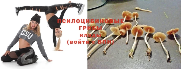 2c-b Арсеньев