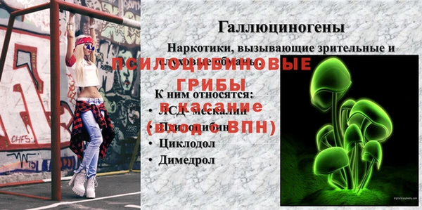 2c-b Арсеньев