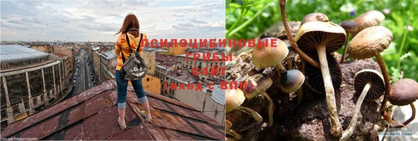 прущий лед Армянск