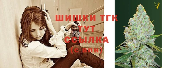 тгк Аркадак