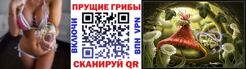 Купить закладки  Удомля  Псилоцибиновые грибы MAGIC MUSHROOMS 